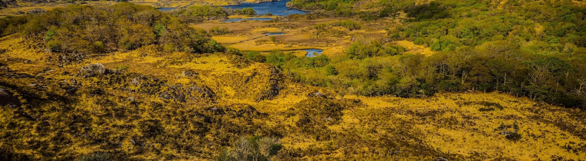 The best walks in Killarney National Park