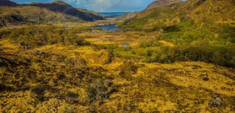 killarney nationam park pexels oleksandr kobuta 152146753 33323817