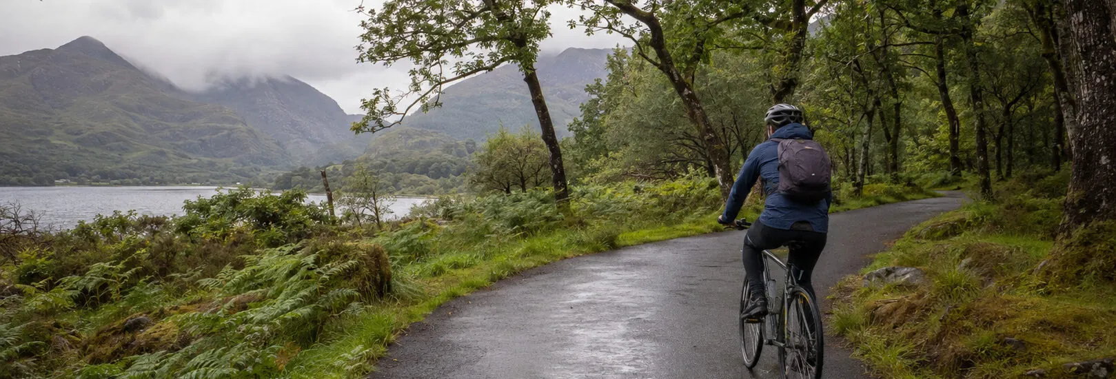 Exploring Killarney National Park by bike