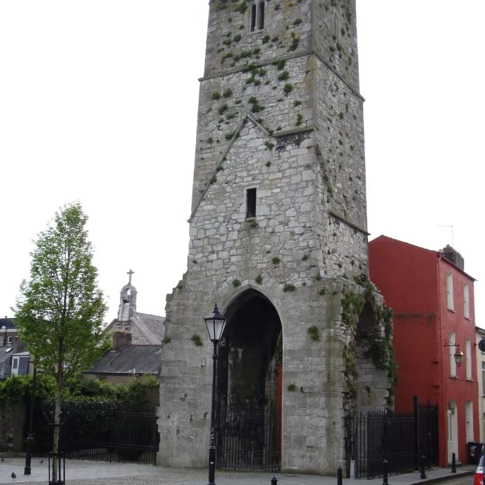 Tour médiévale de Red Abbey à Cork