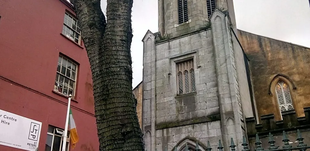 st peters cork