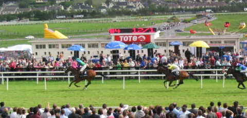 galway races illustration