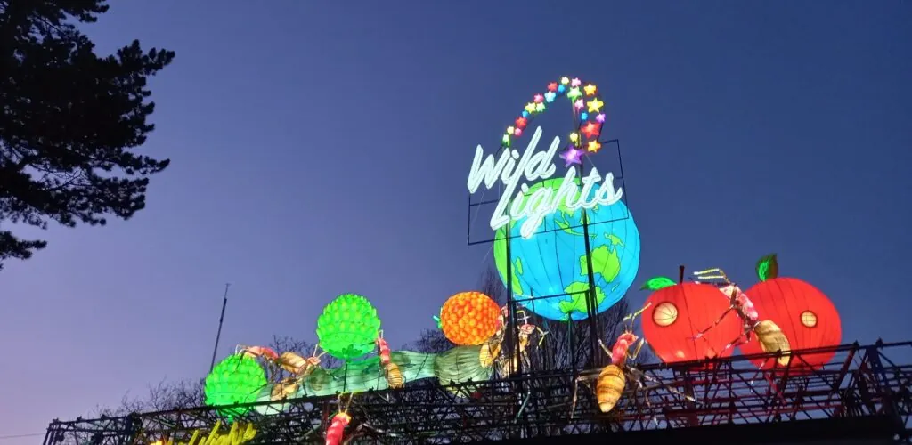 Installation lumineuse Wild Lights au Dublin Zoo photographiée en décembre 2022