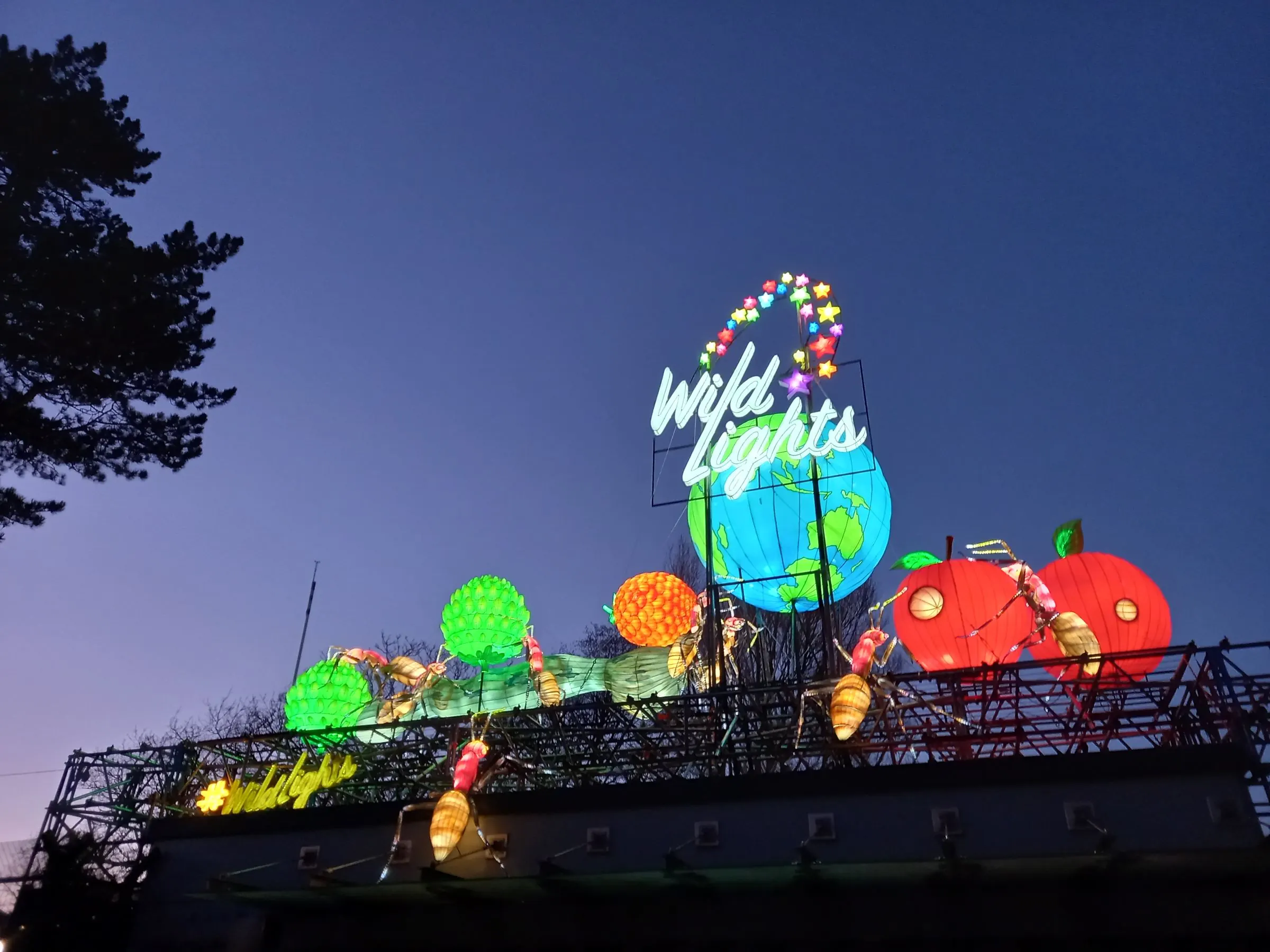 Wild Lights at Dublin Zoo